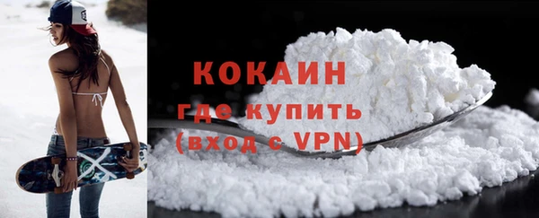 дмт Мегион