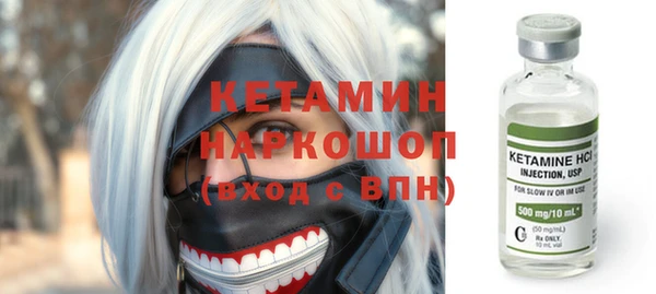шишки Медвежьегорск