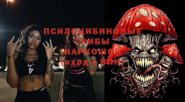 шишки Медвежьегорск