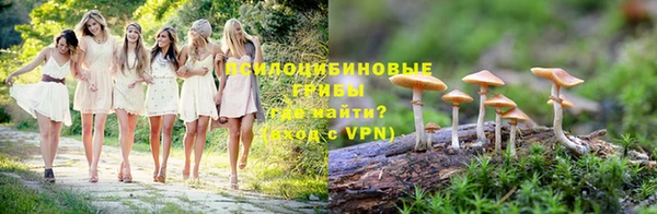 шишки Медвежьегорск
