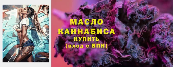 дмт Мегион