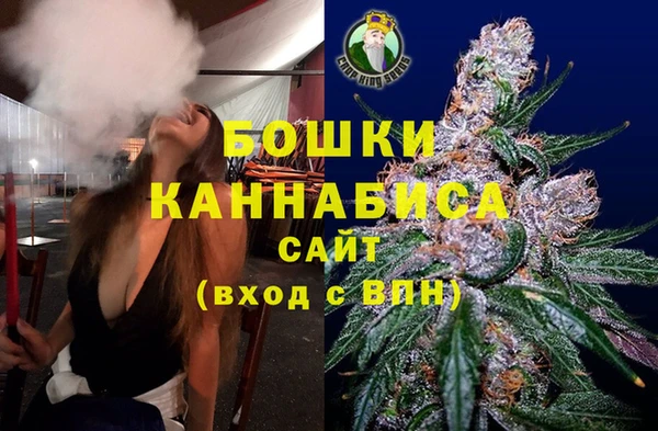 шишки Медвежьегорск