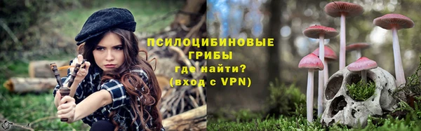 шишки Медвежьегорск