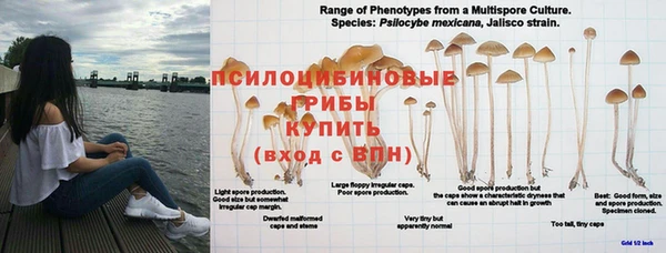 2c-b Медногорск