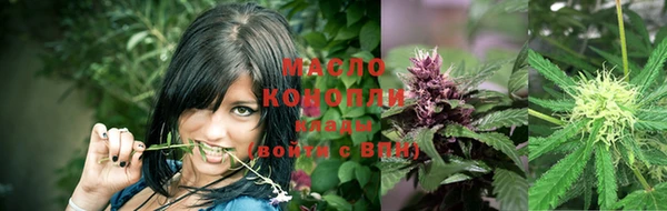 индика Кемь