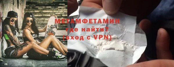 шишки Медвежьегорск