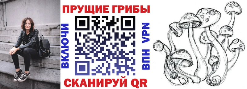 Галлюциногенные грибы мицелий Малмыж
